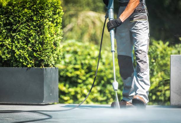 Best Spring Cleaning  in Lowell, MI