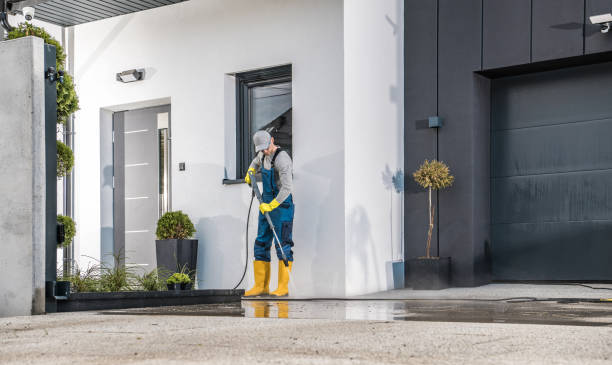 Best Gutter Cleaning  in Lowell, MI